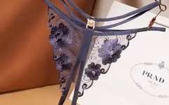 李昌钰谈如何破获朱令案